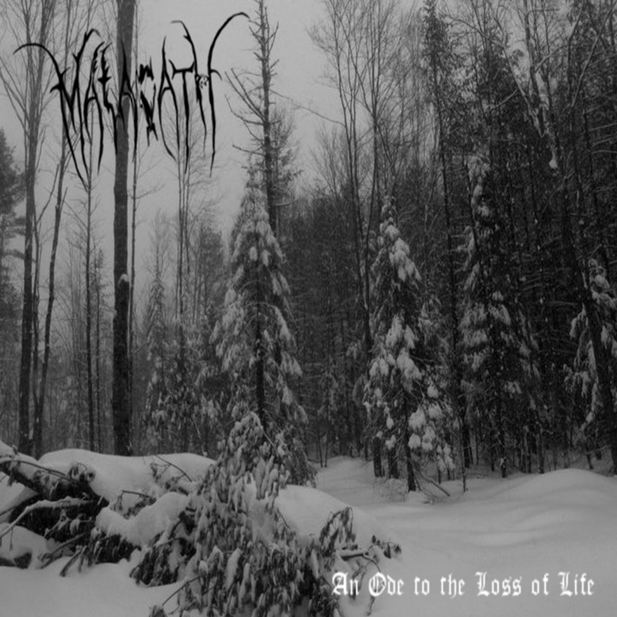 Album artwork for an-ode-to-the-loss-of-life
