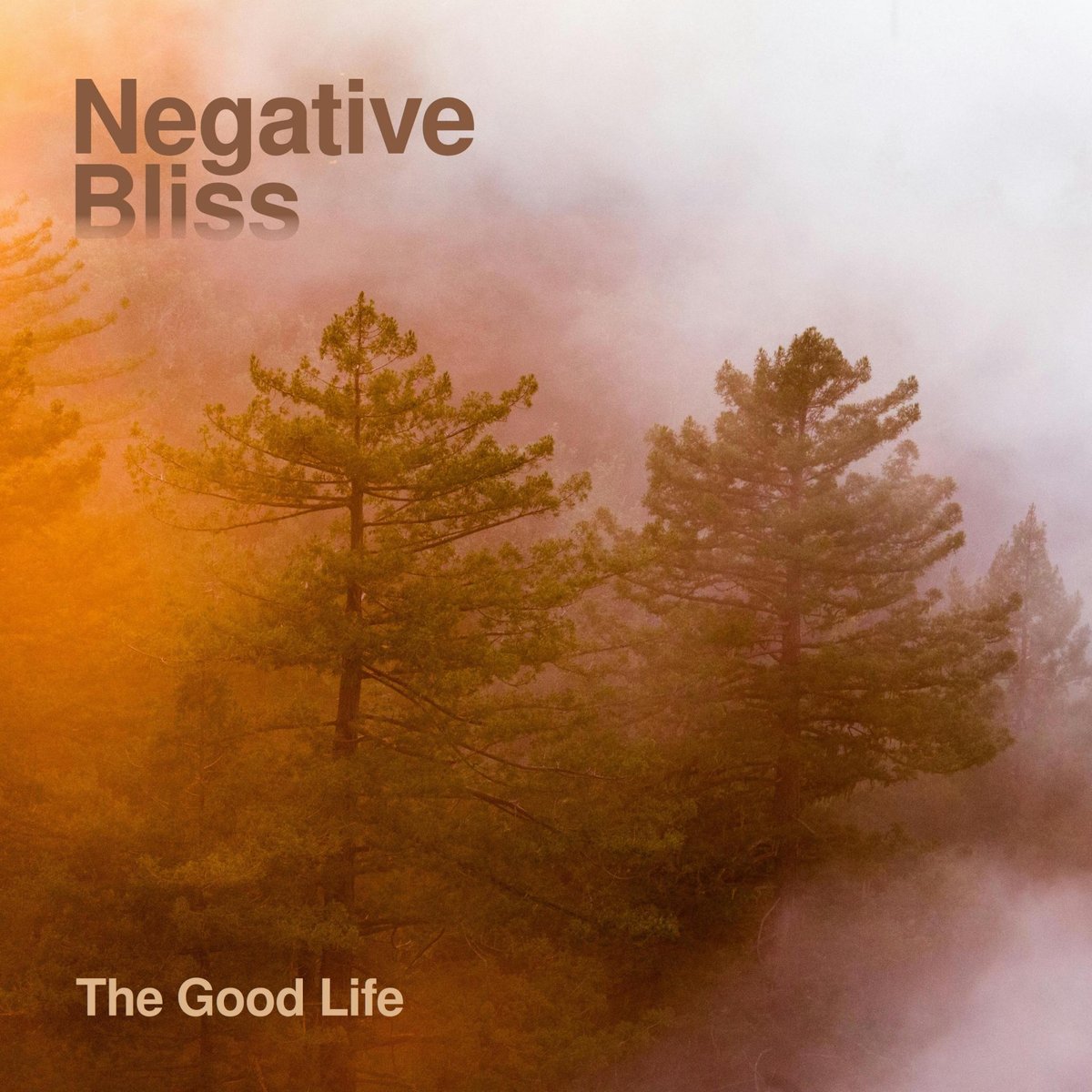 Album artwork for the-good-life-single