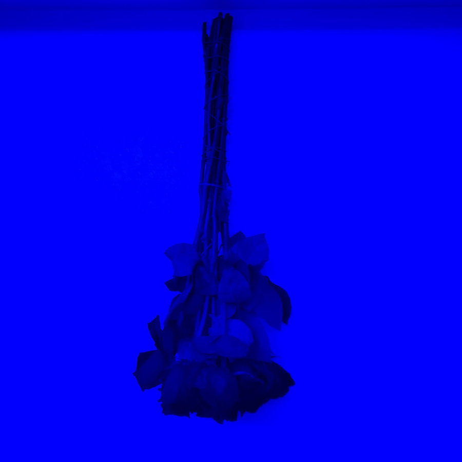 Album artwork for longing-thaws