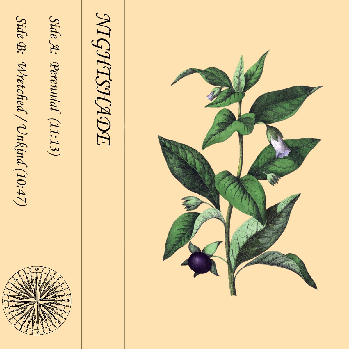 Album artwork for perennialwretchedunkind
