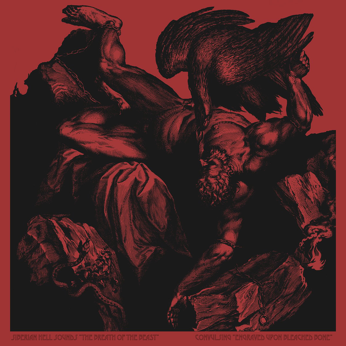 Album artwork for engraved-upon-bleached-bone