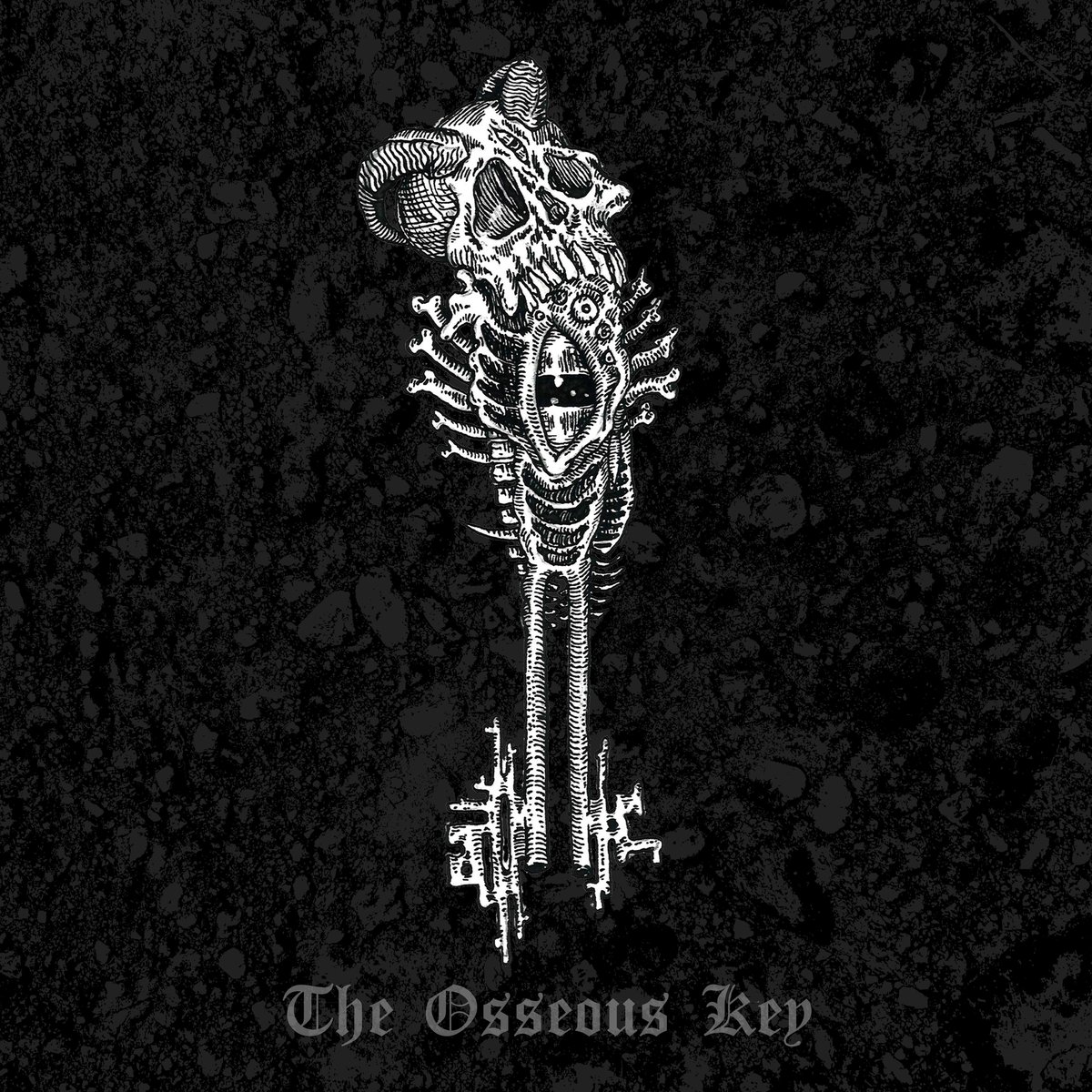 Album artwork for the-osseous-key