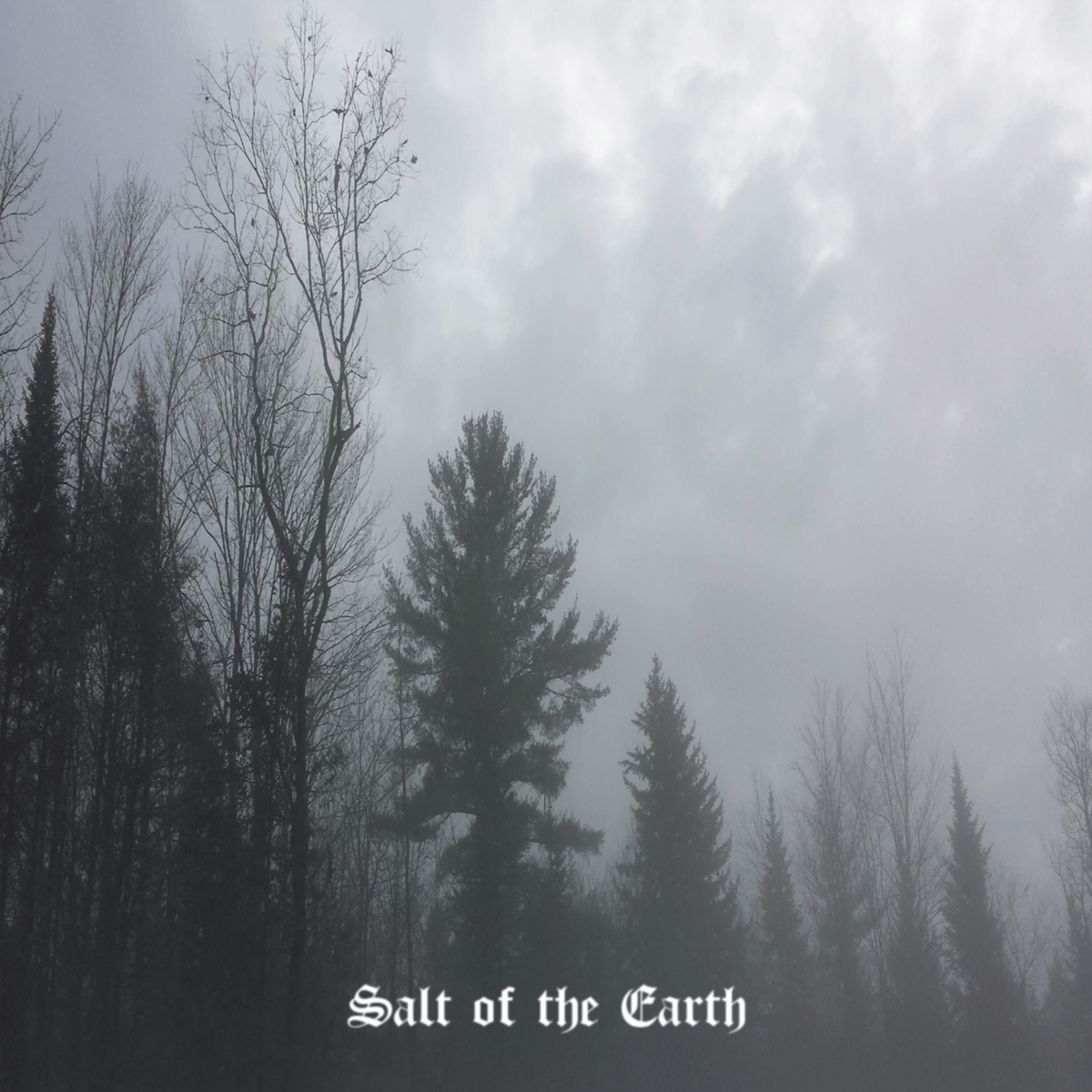 Album artwork for salt-of-the-earth
