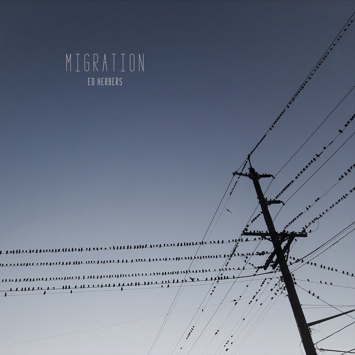 Album artwork for migration