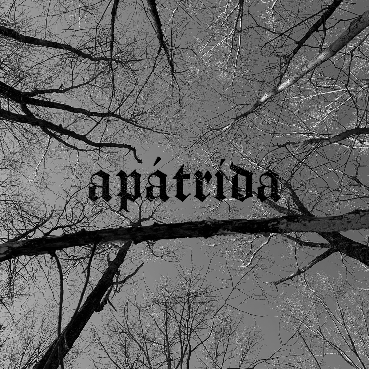 apátrida