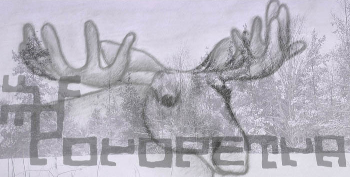 Poropetra