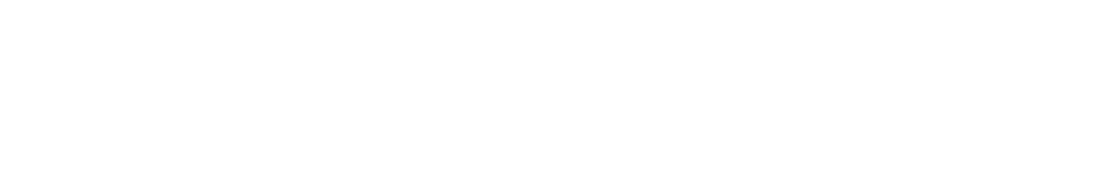 vectorgeist