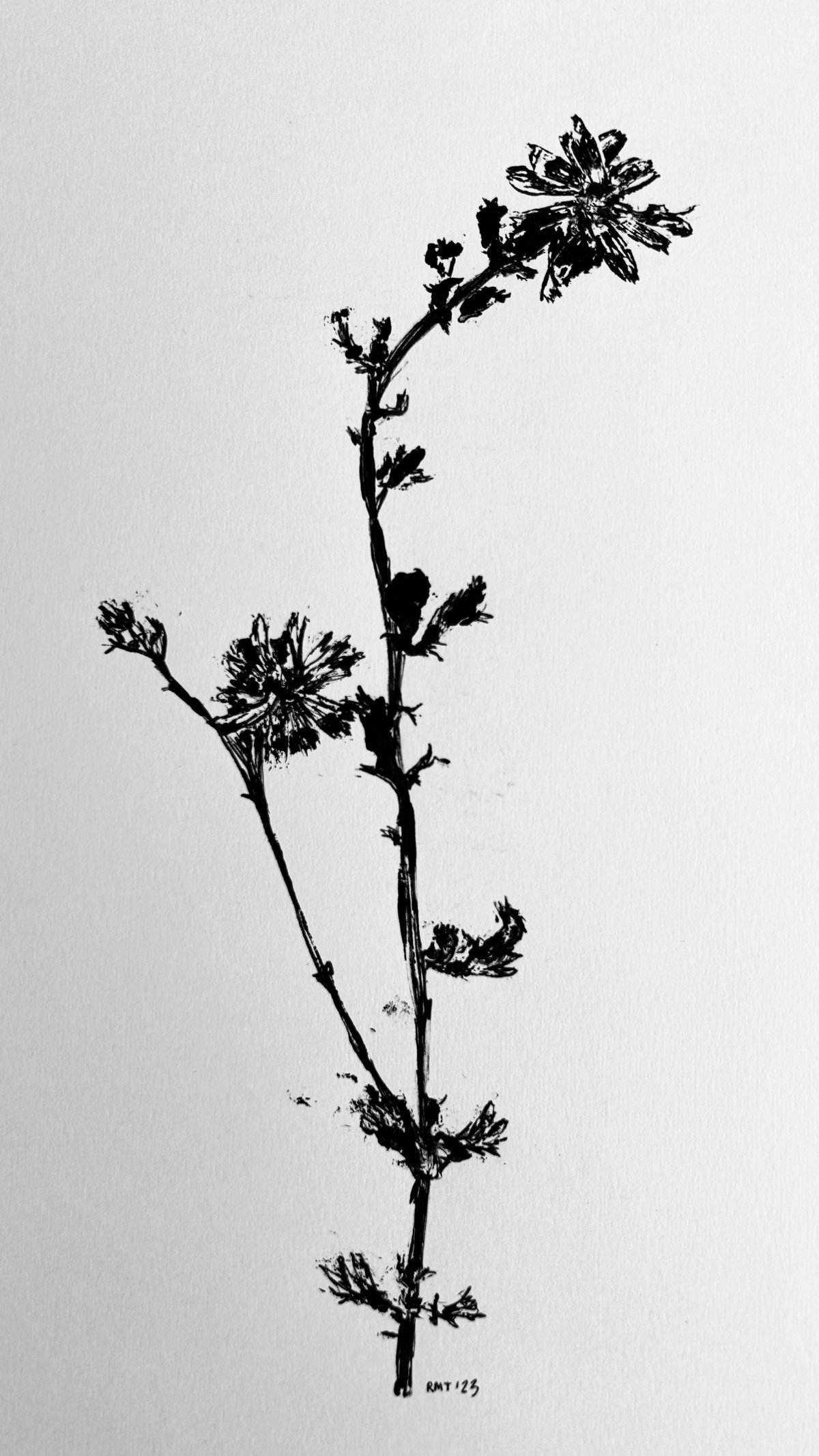 Roadside June