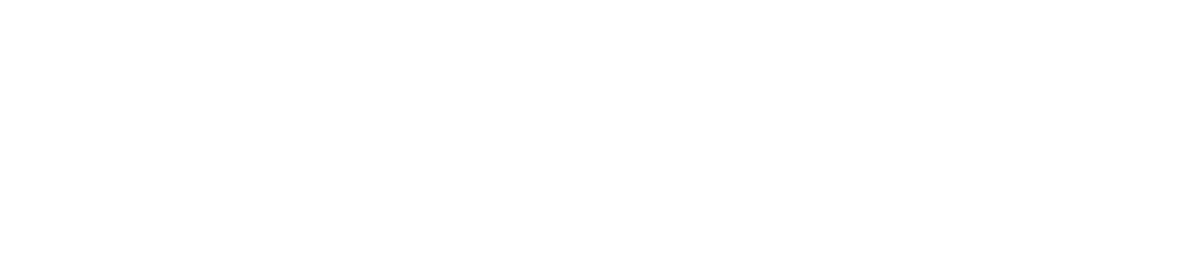 Schaden Collective