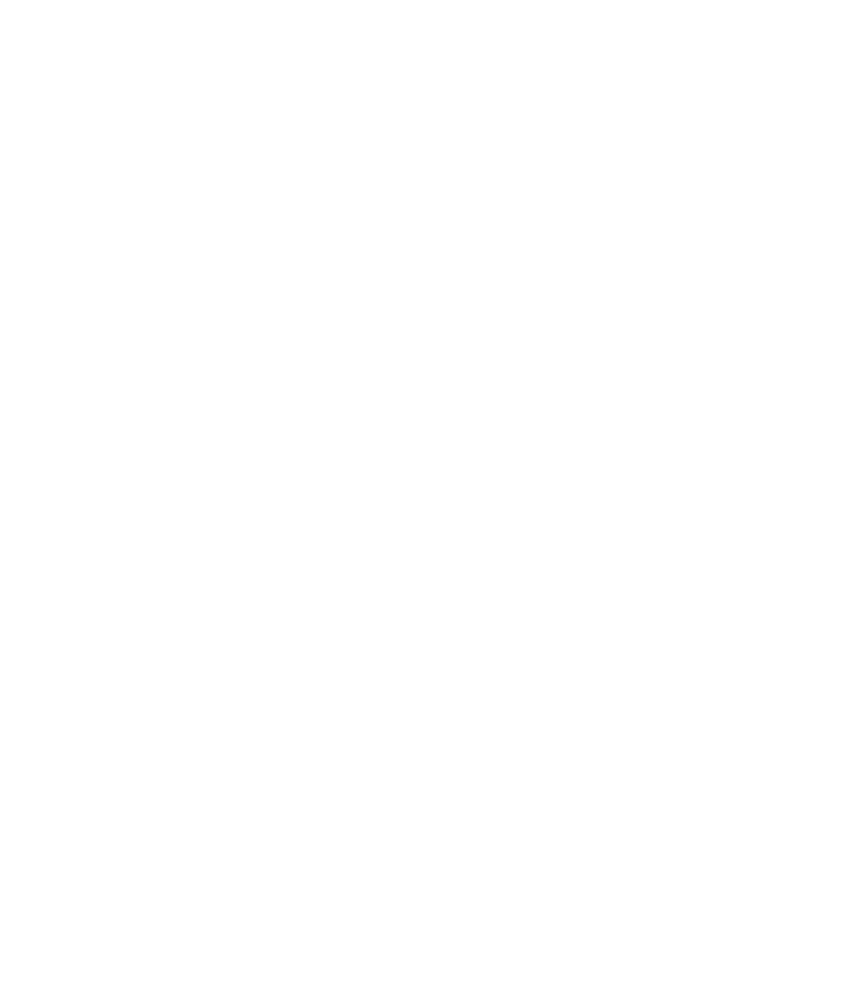 Nyss