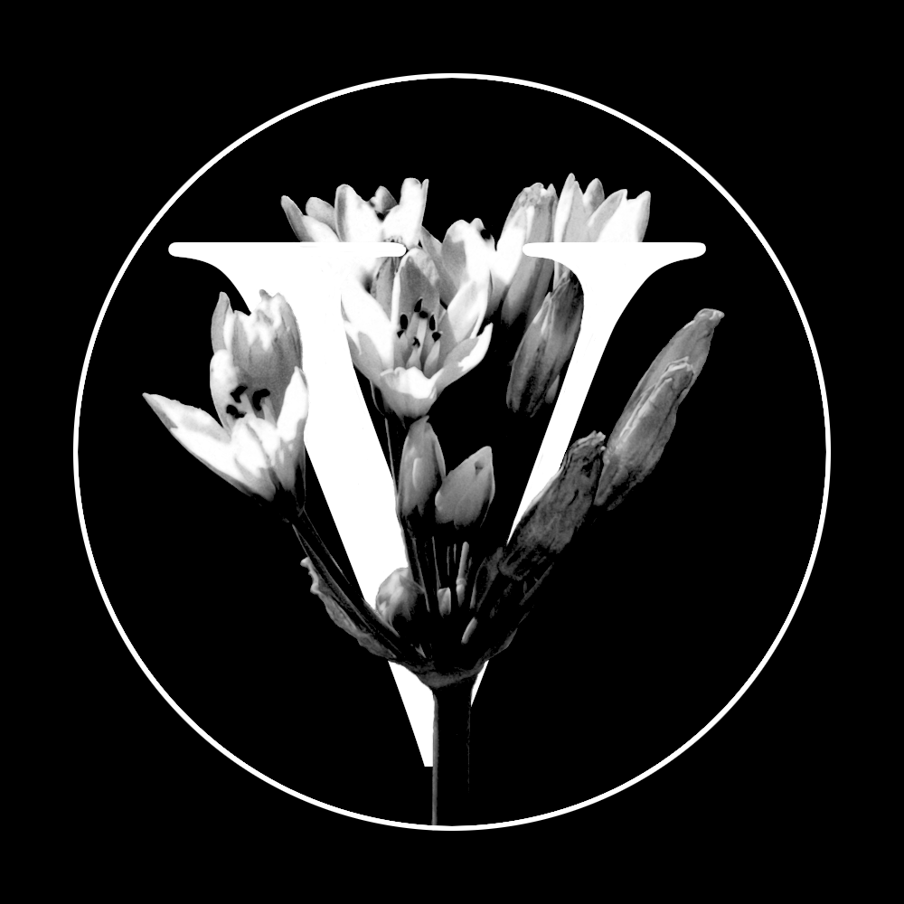 vexagon