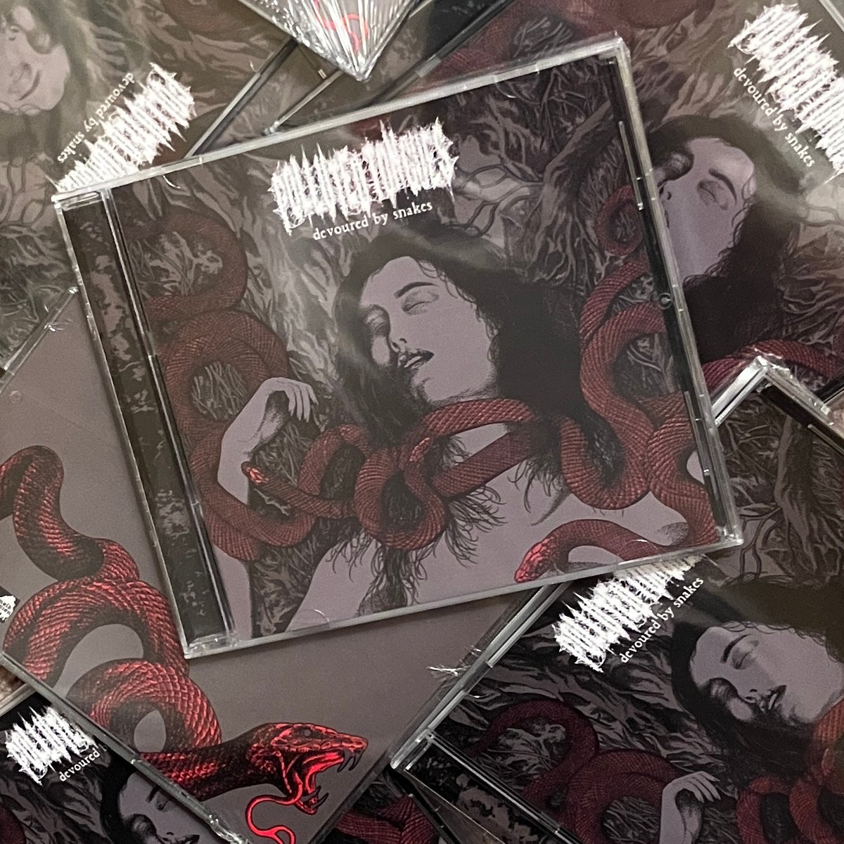 Mold Dominion