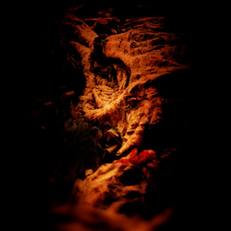 The profile image for one-eyed-ancestor
