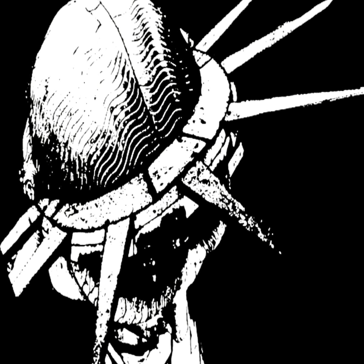 The profile image for xmacex