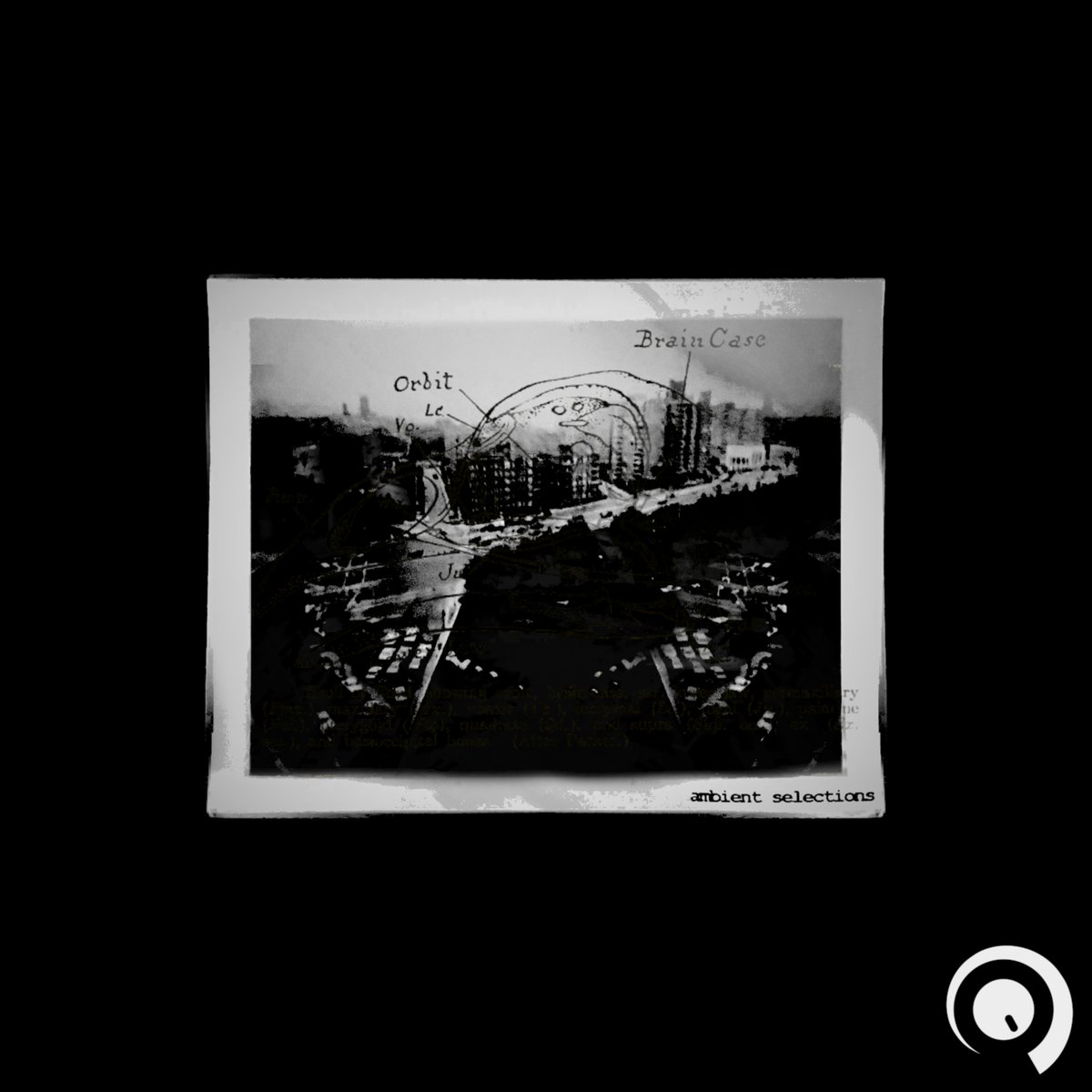 Image for Ambient Selections
