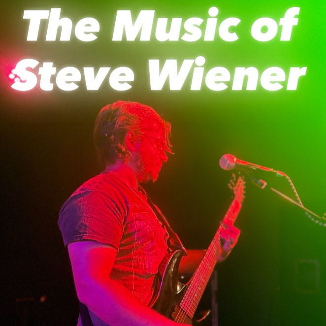 Image for The Music of Steve Wiener