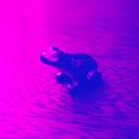 img-6
