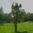 img-1