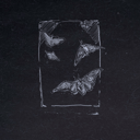 img-0