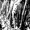 img-2