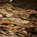 img-1