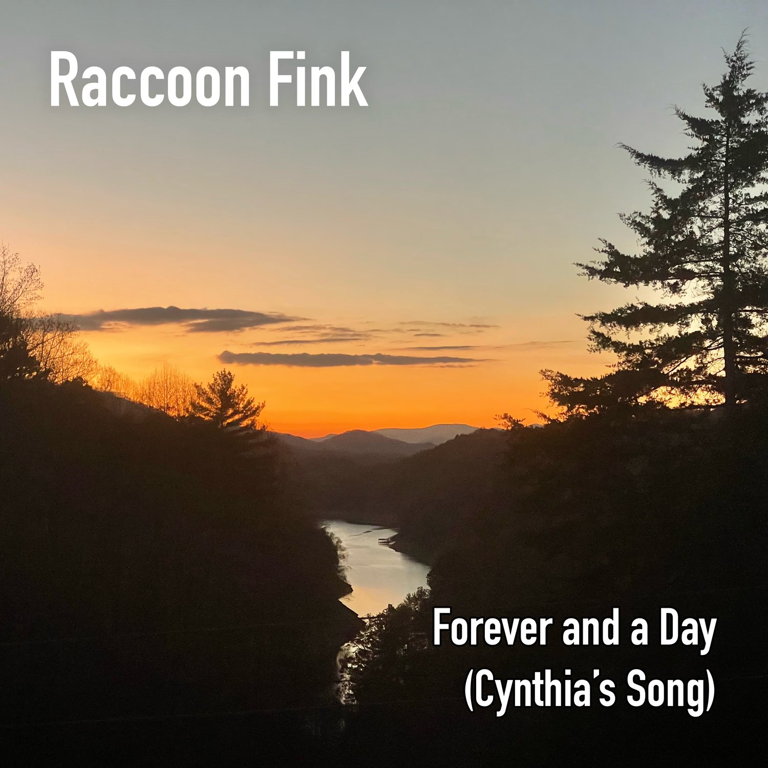 Forever and a Day (Cynthia's Song) · Raccoon Fink