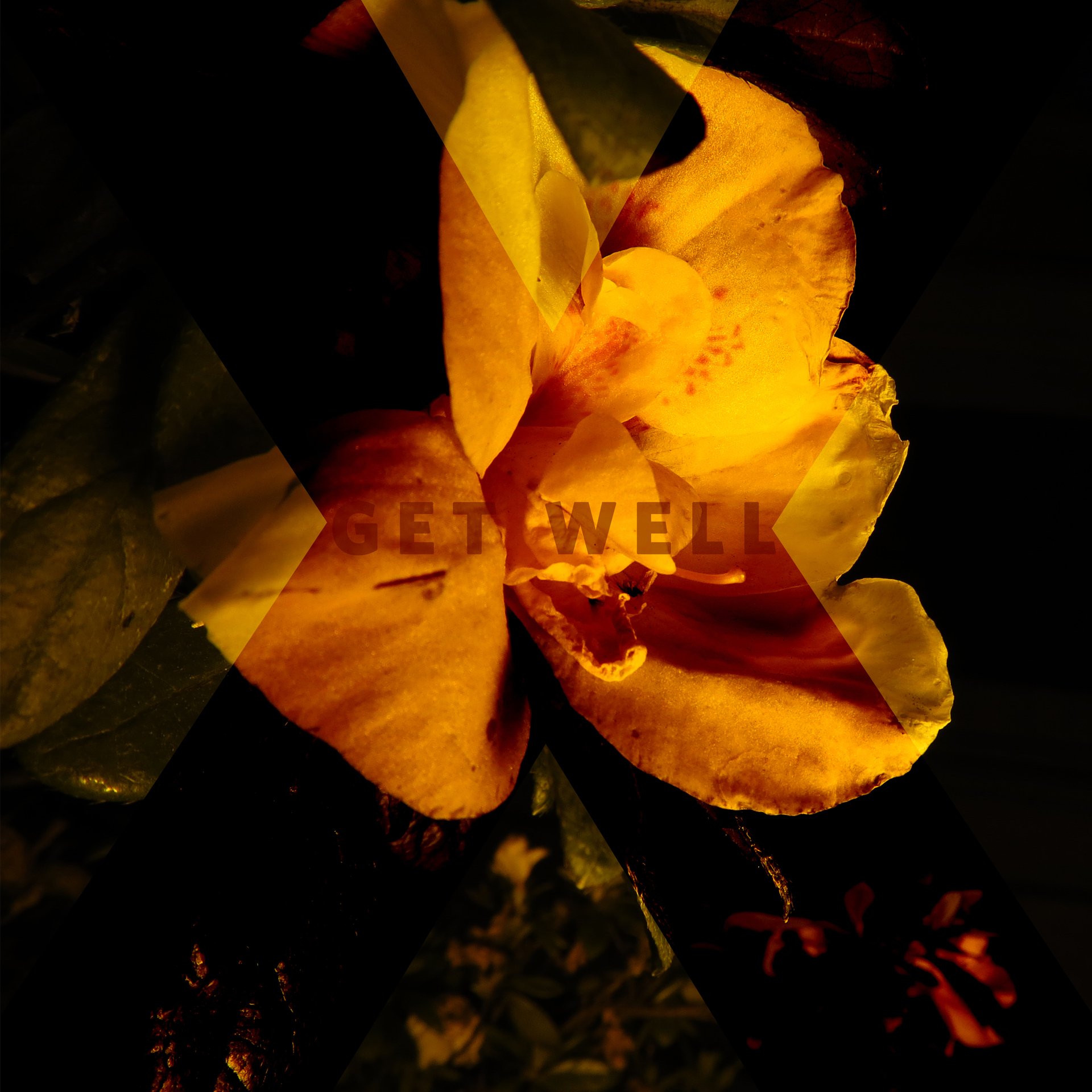 Get Well