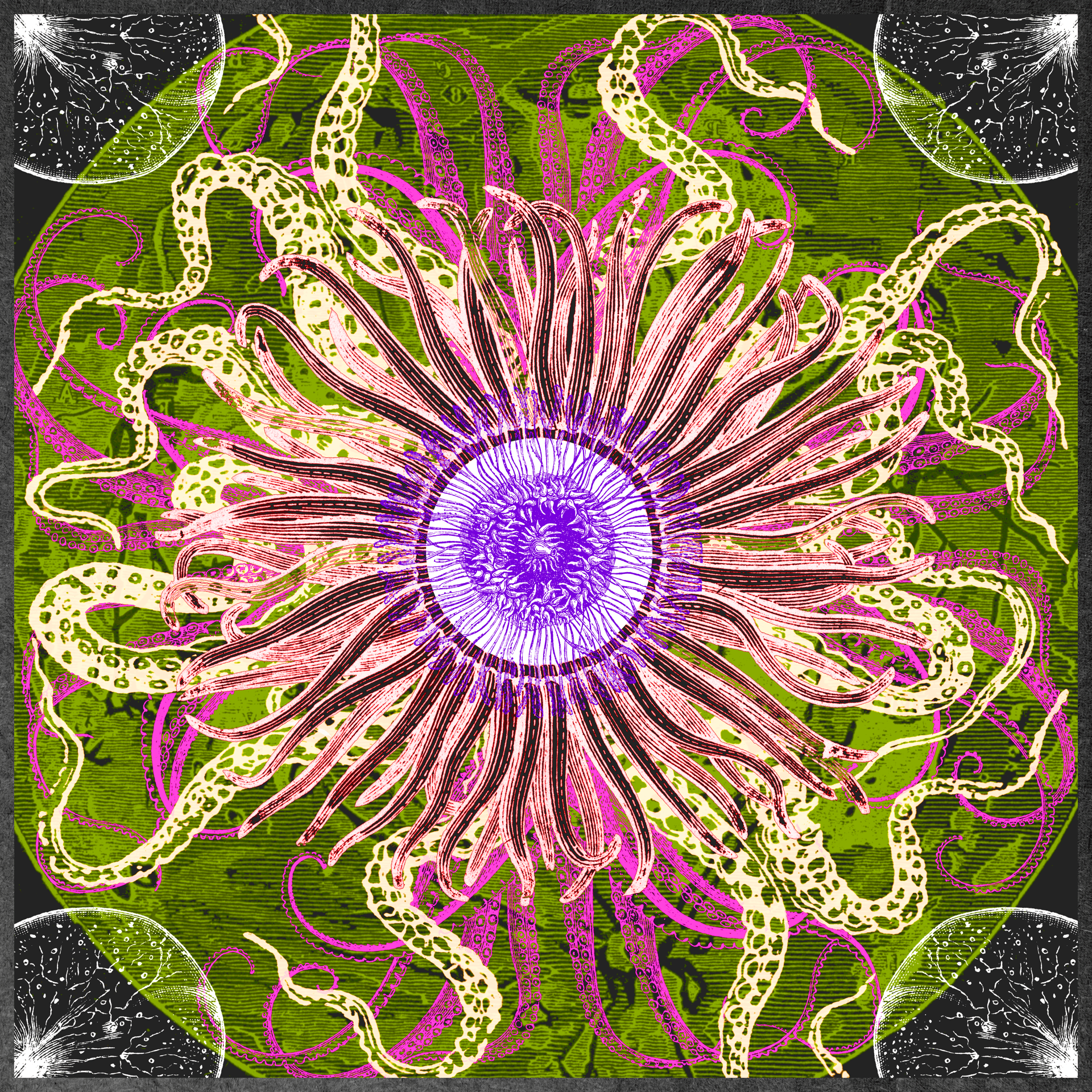 Album artwork for unearthly-geometry