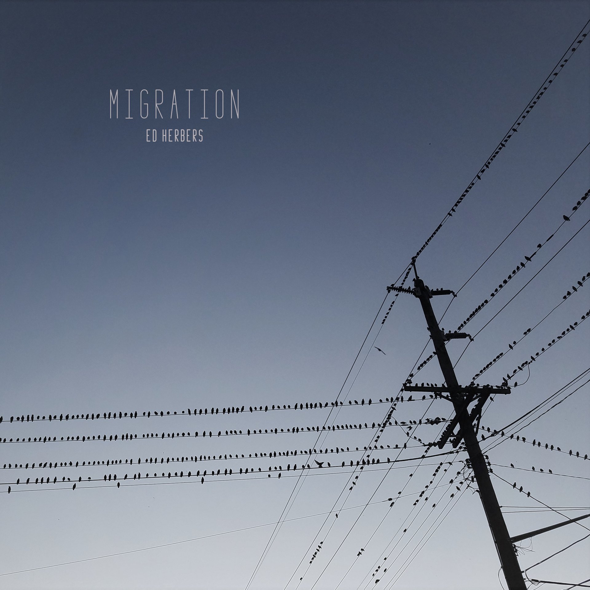 Migration
