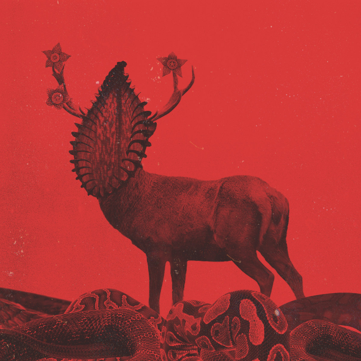 Hypnagogia