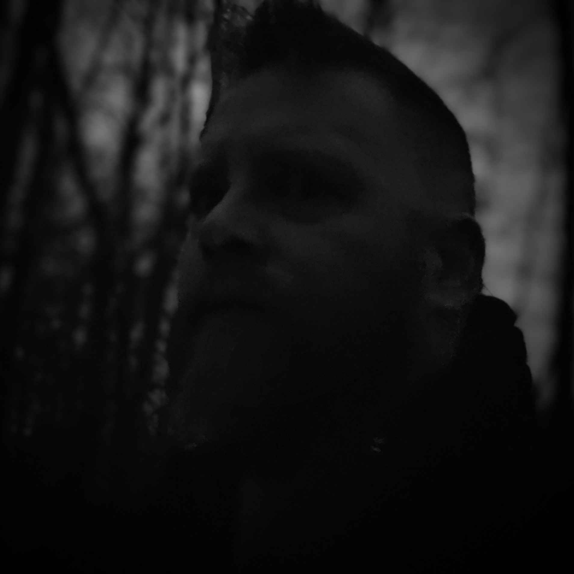 The primary image of Where The Shadows Lie