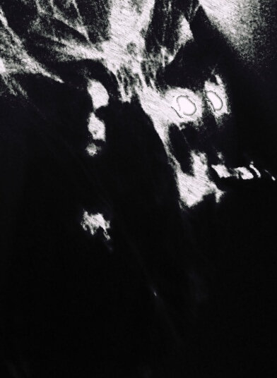 The primary image of Ferox Occulta