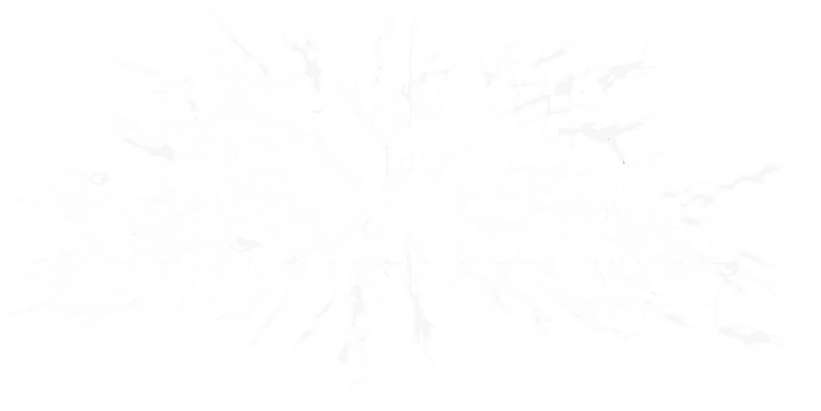 Path of the Nocturnal Silence