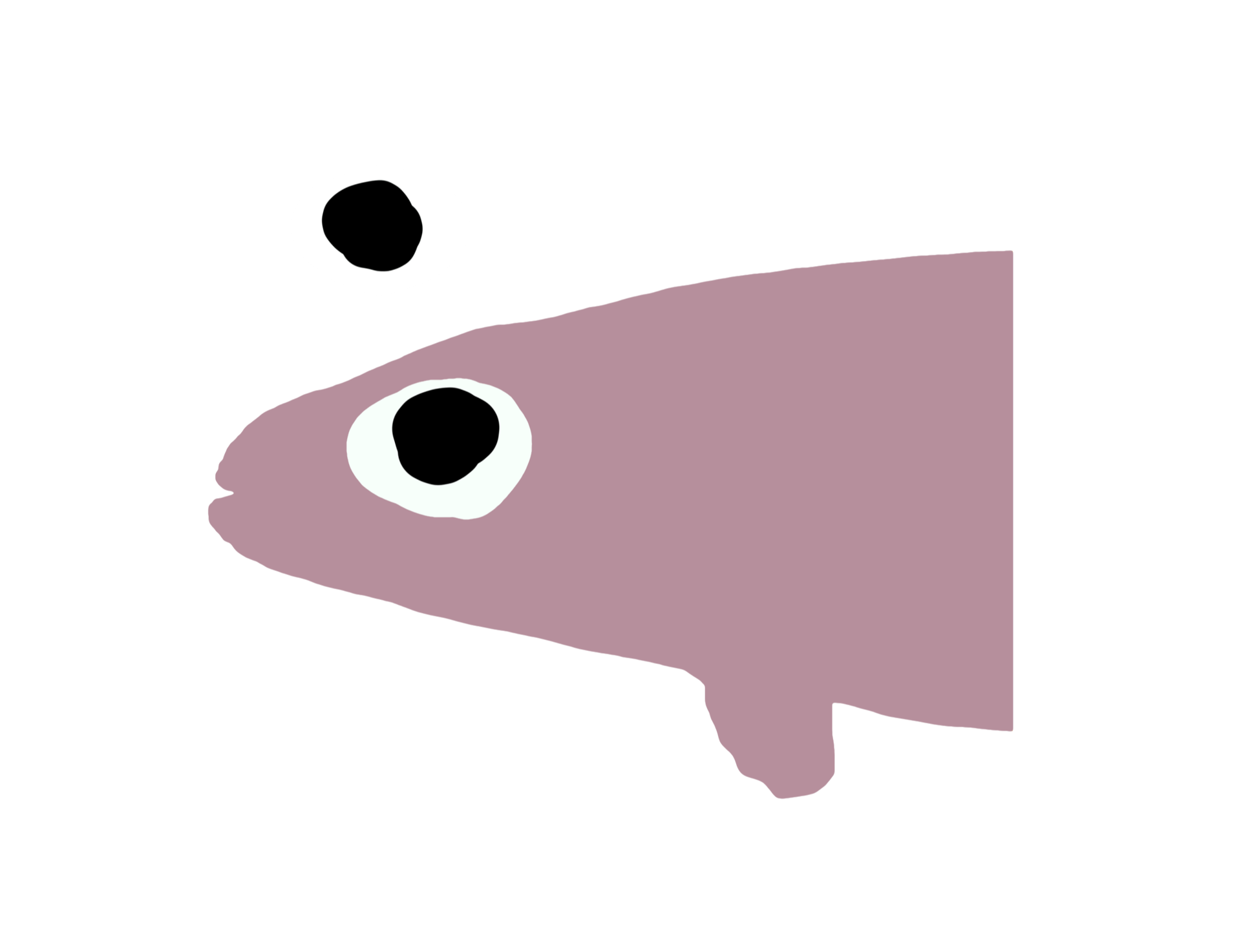 The primary image of Column of Trout