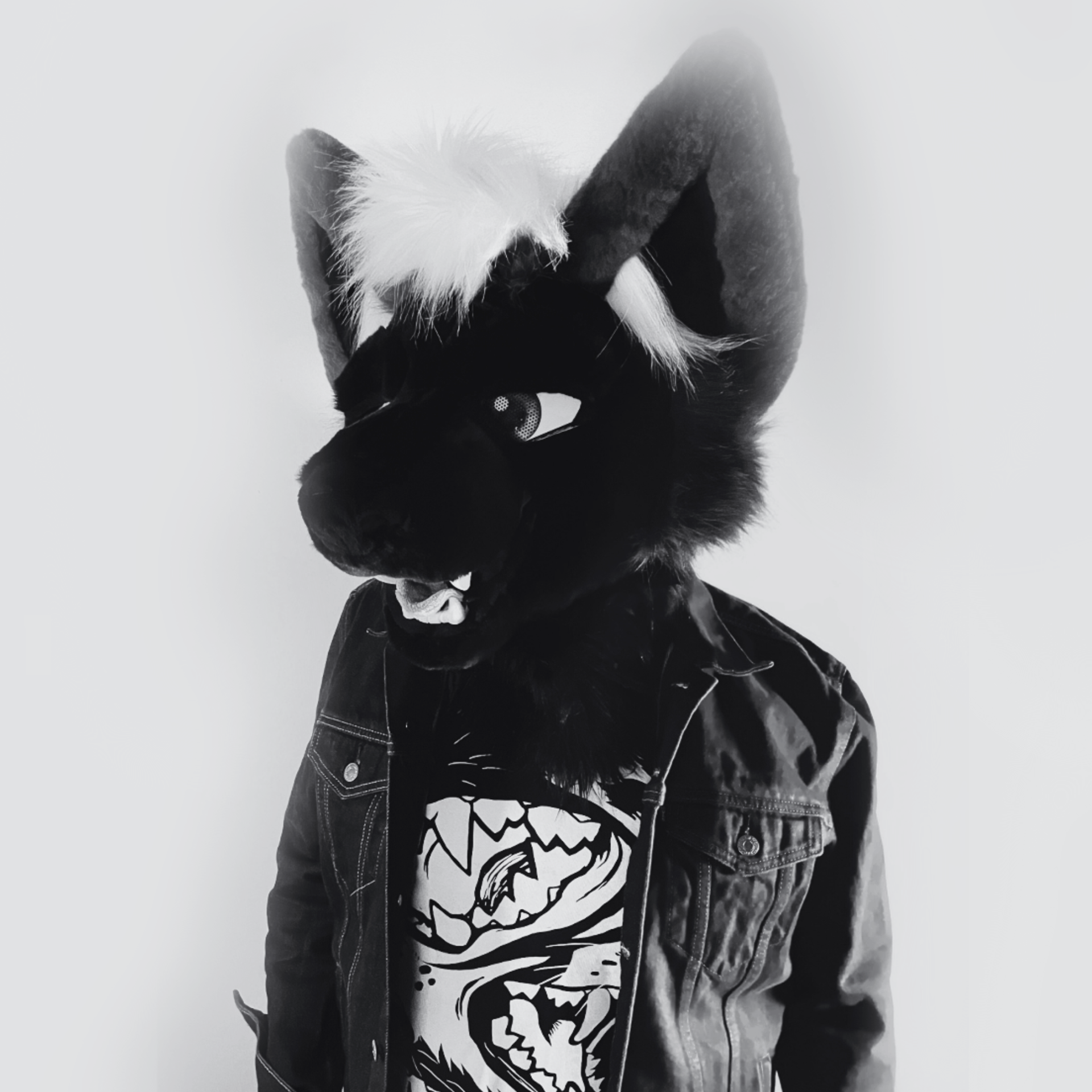 The primary image of Dima Foxpaws