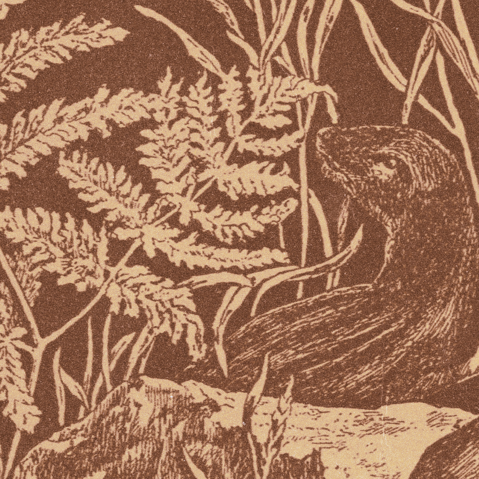 The primary image of Groves & Thickets