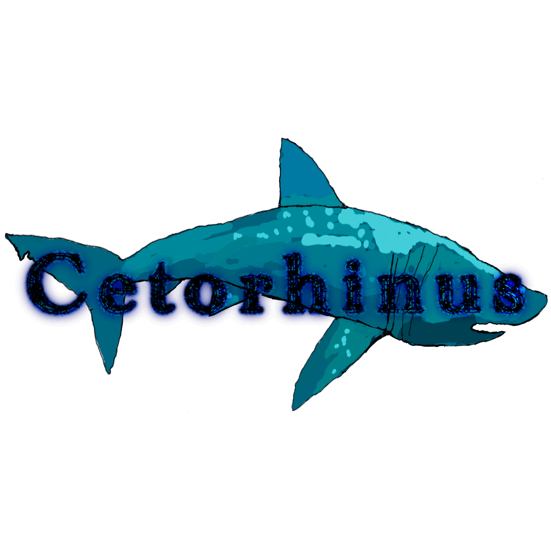 Cetorhinus