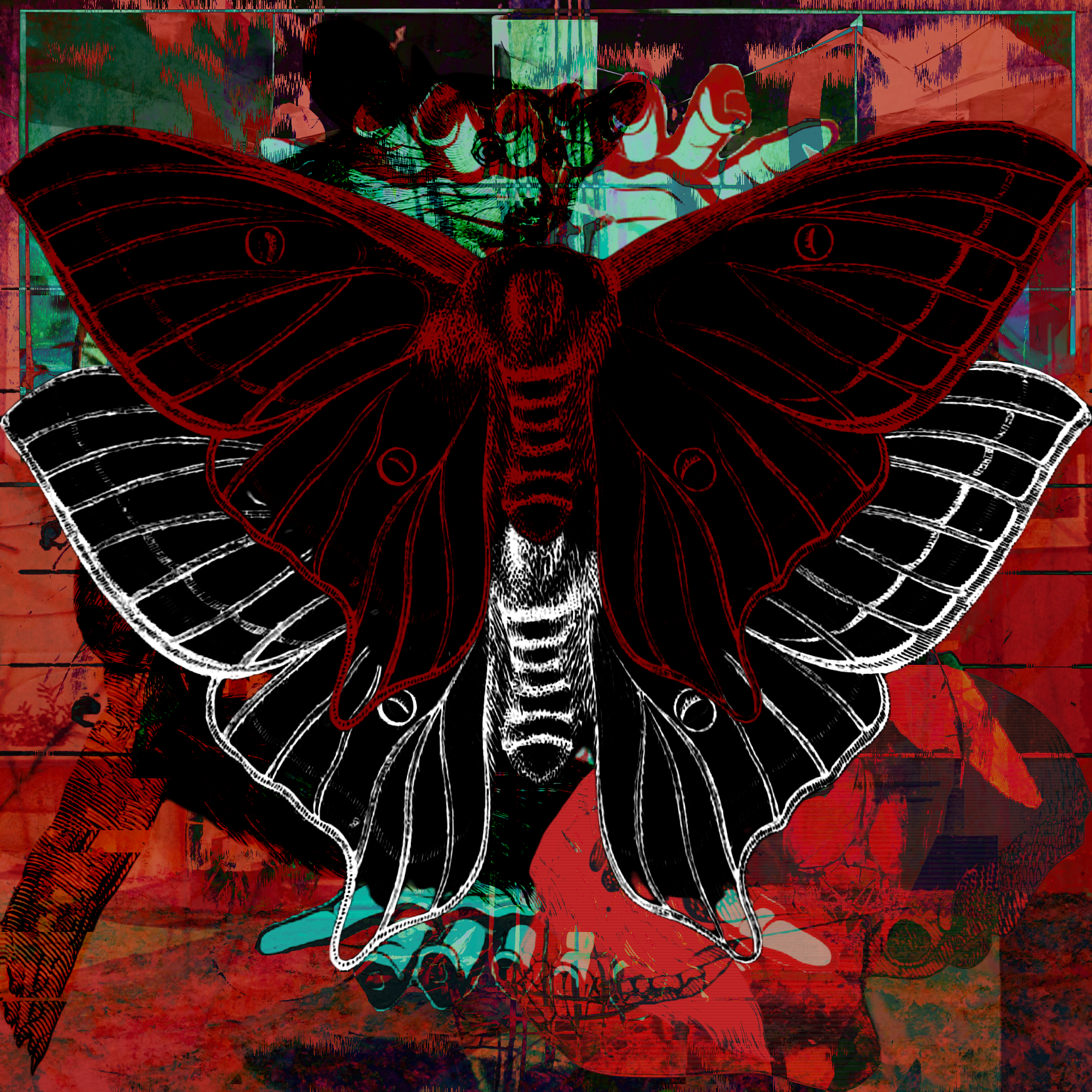 LDY BTTRFLY