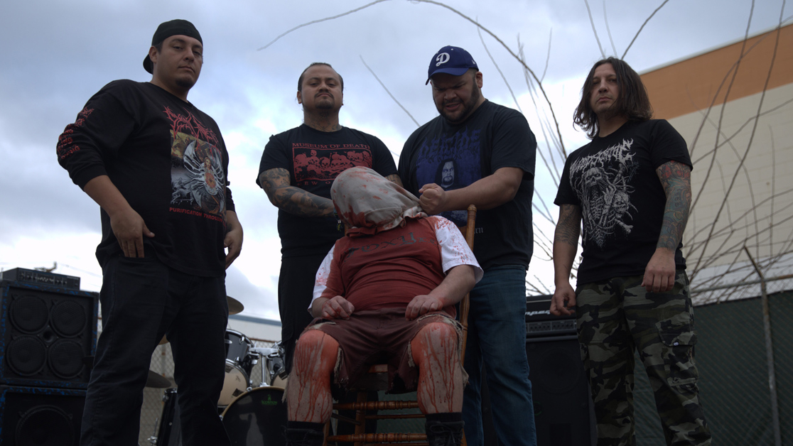Stages of Decomposition