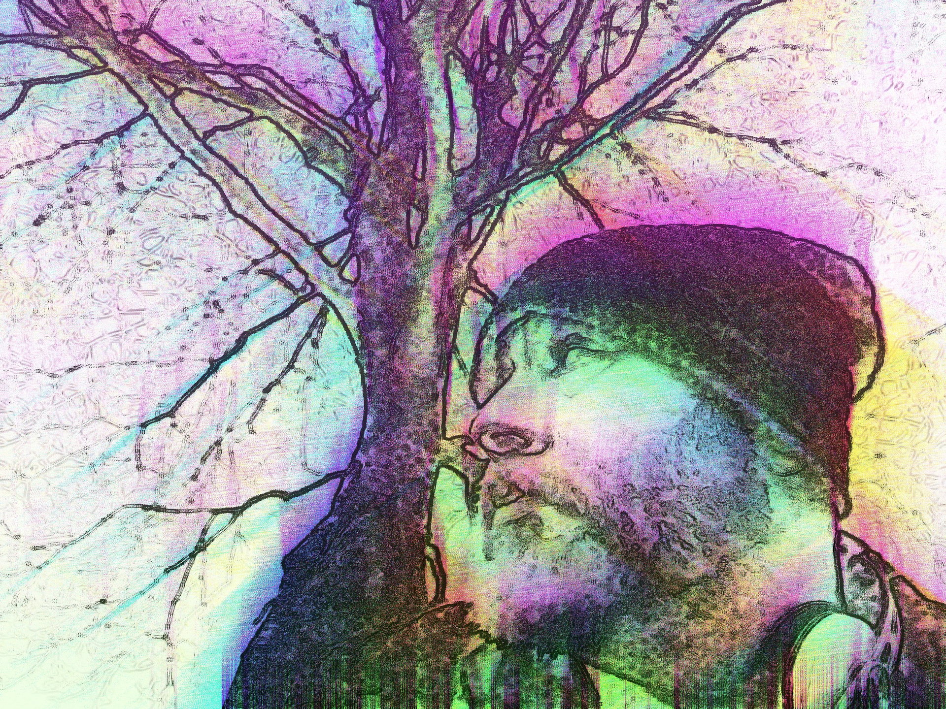 The primary image of Jamie Philpin-Jones