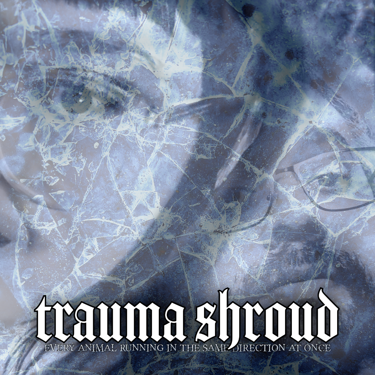 The primary image of Trauma Shroud