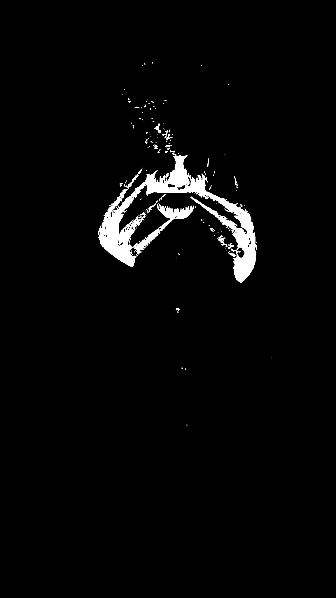 The primary image of Cefaris