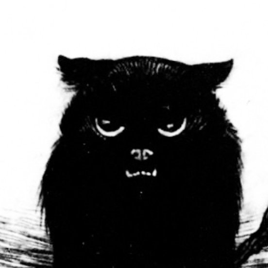 The primary image of Claw Of Midnight