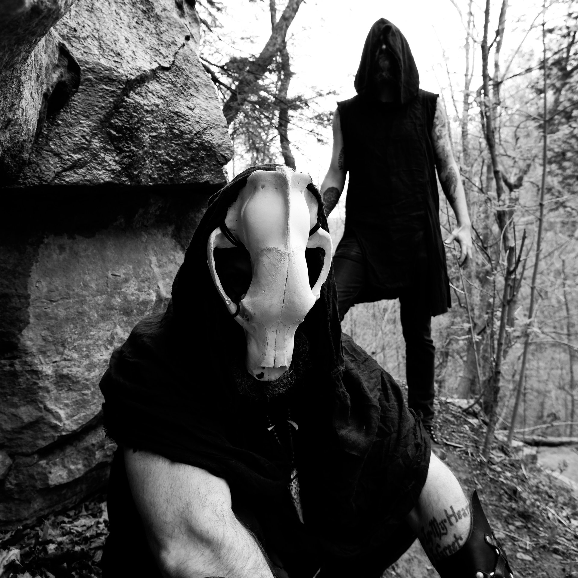 Arktheos