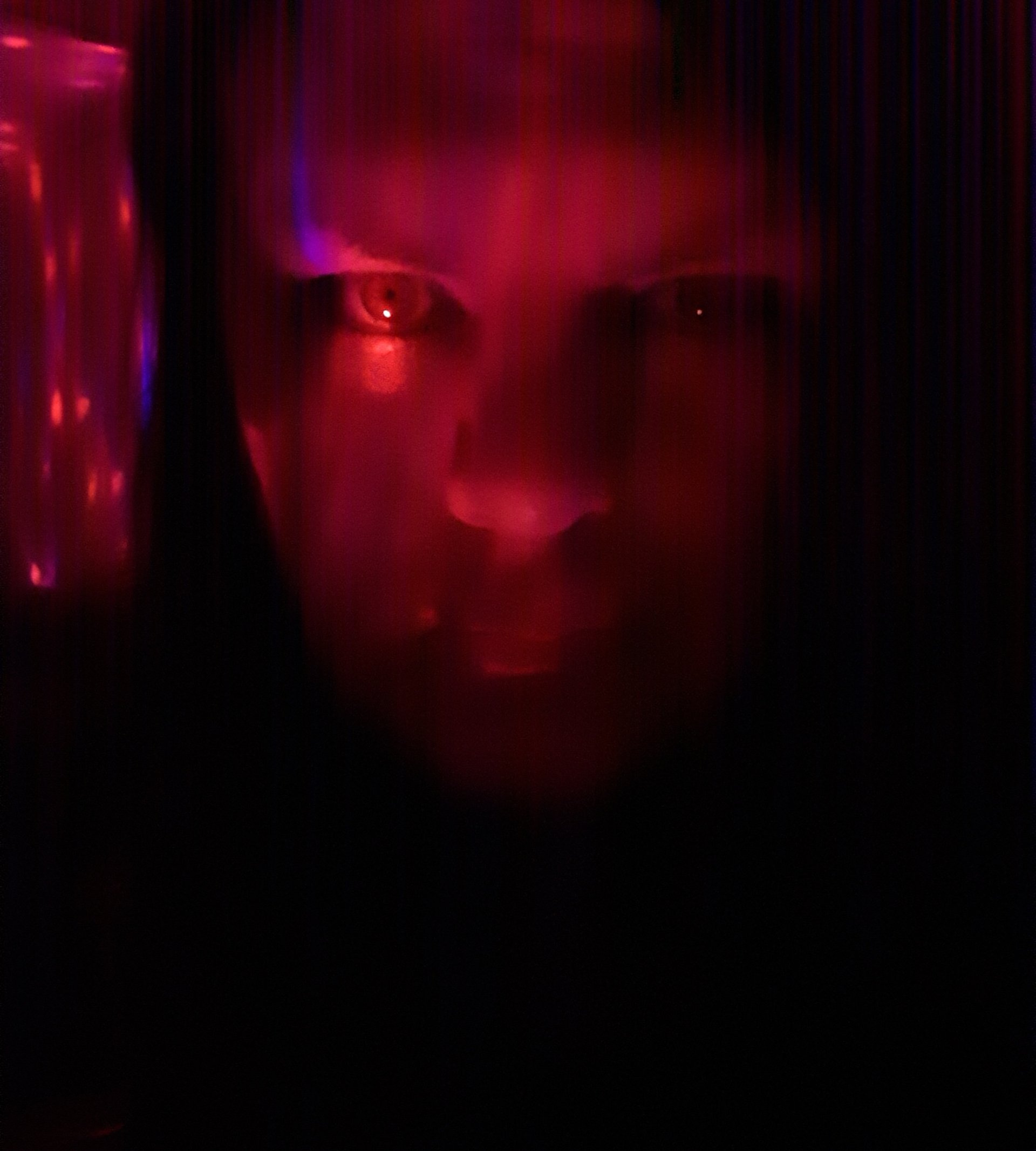 The primary image of Magenta Midnight