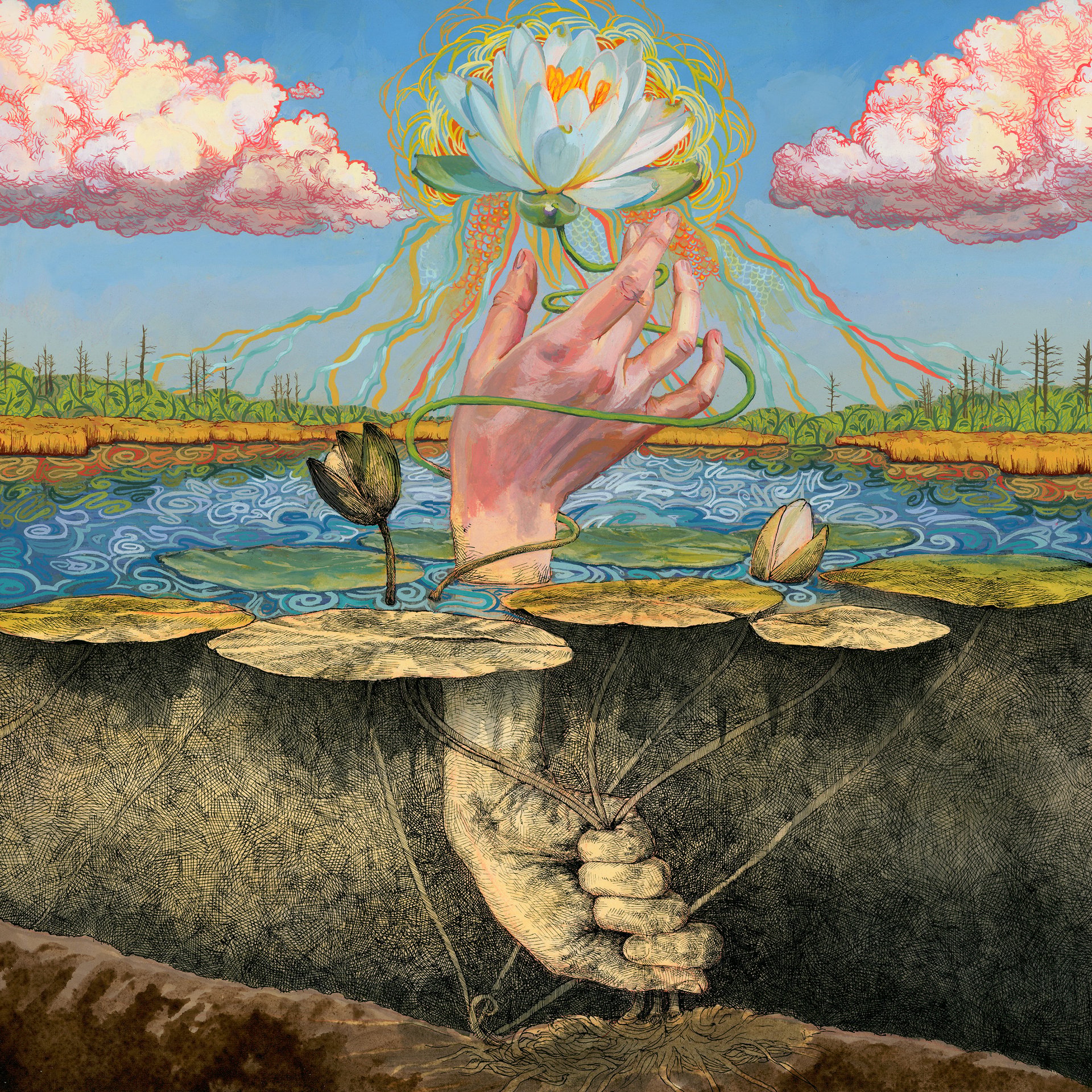"Phototroph" Cover Giclée Print