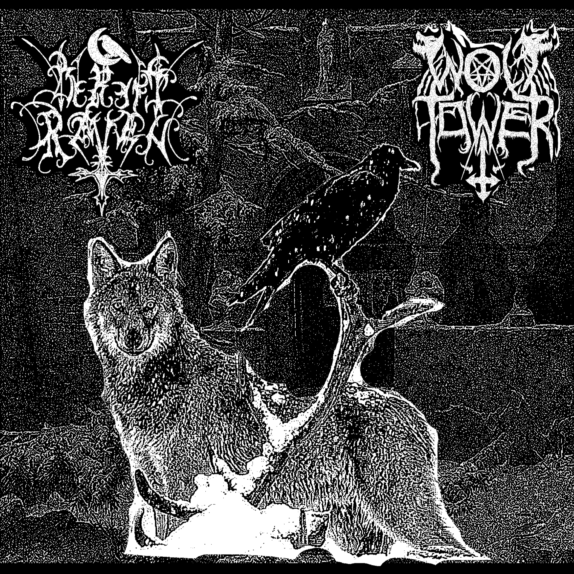 Split with Bereft Raven