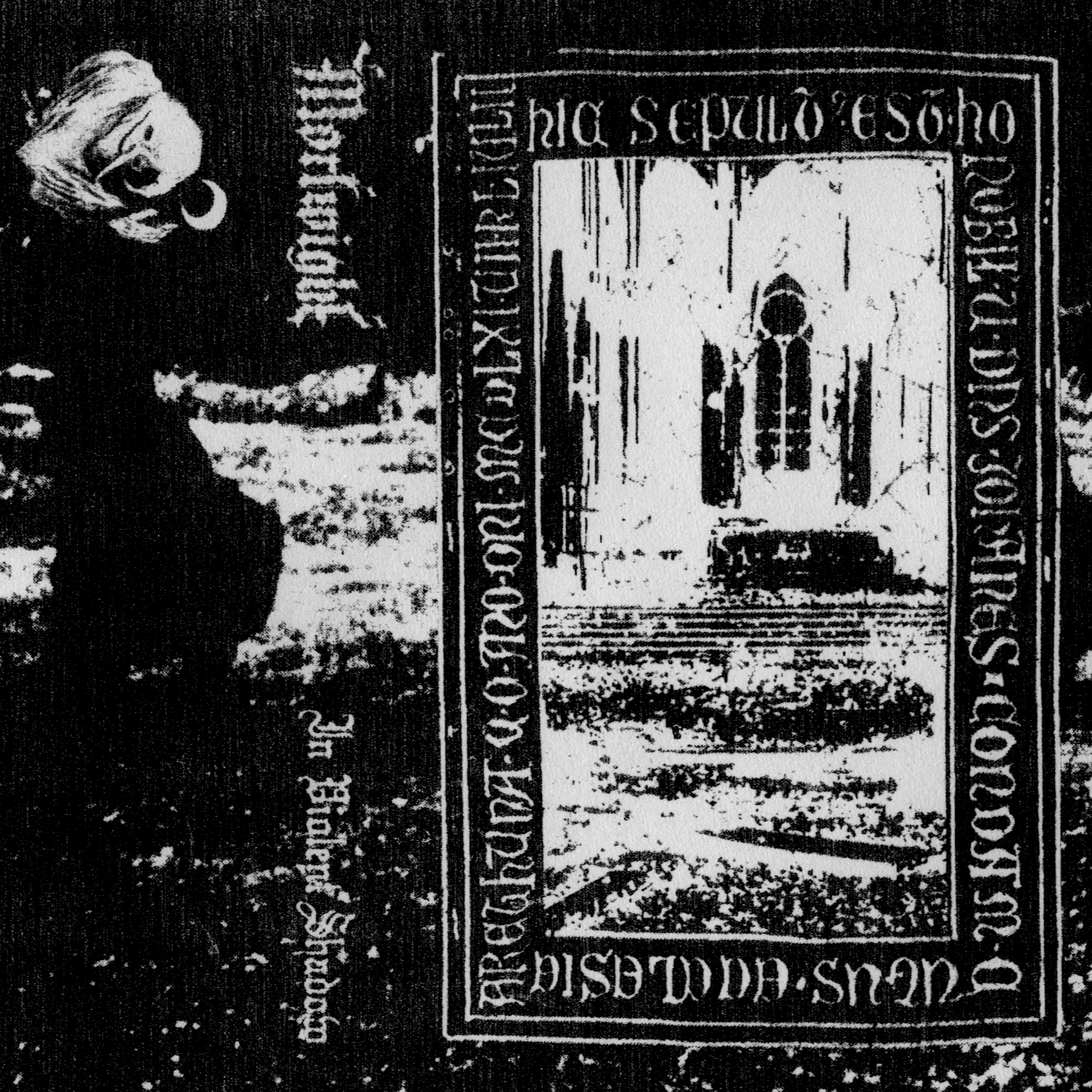 In Violent Shadow