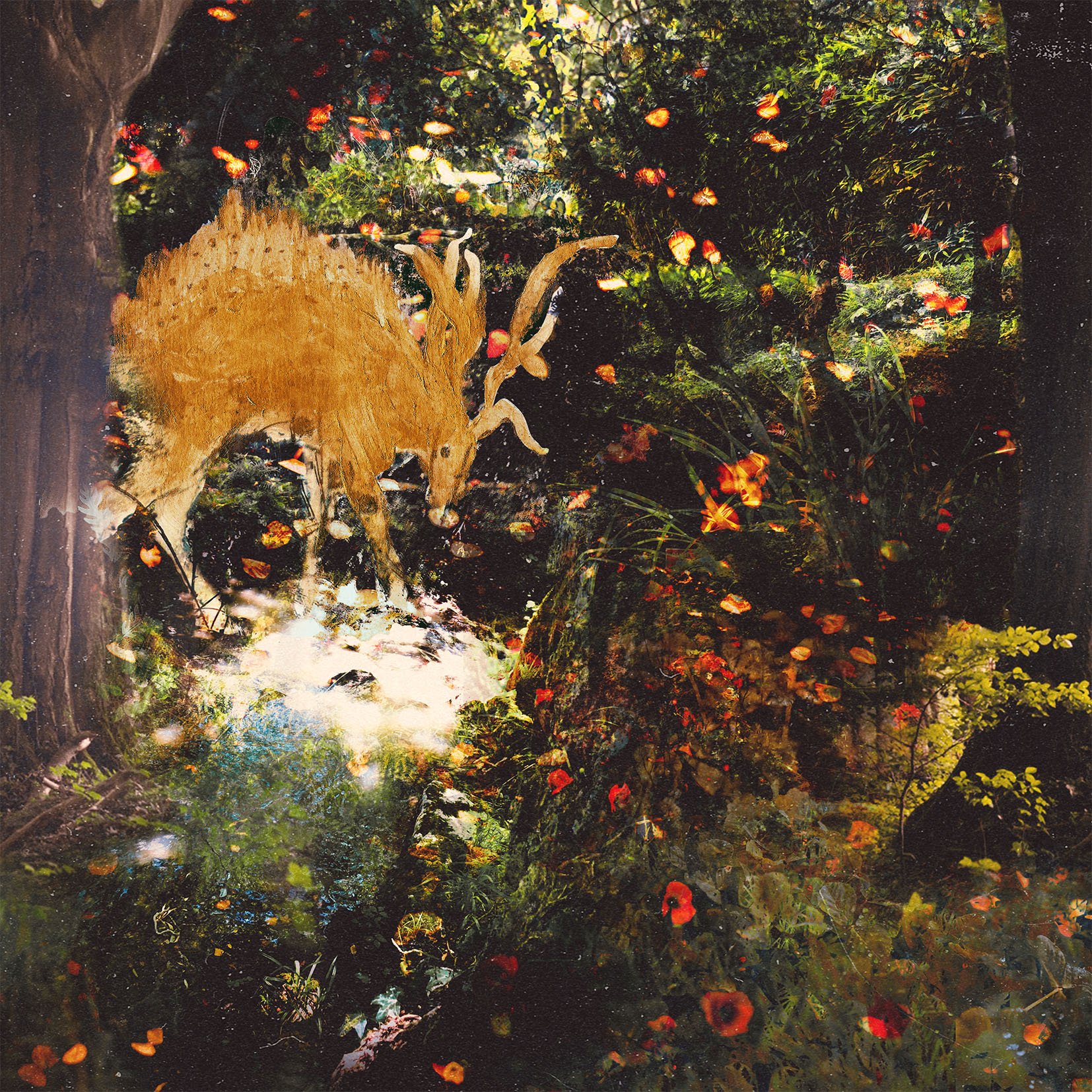 How the Garden Grows