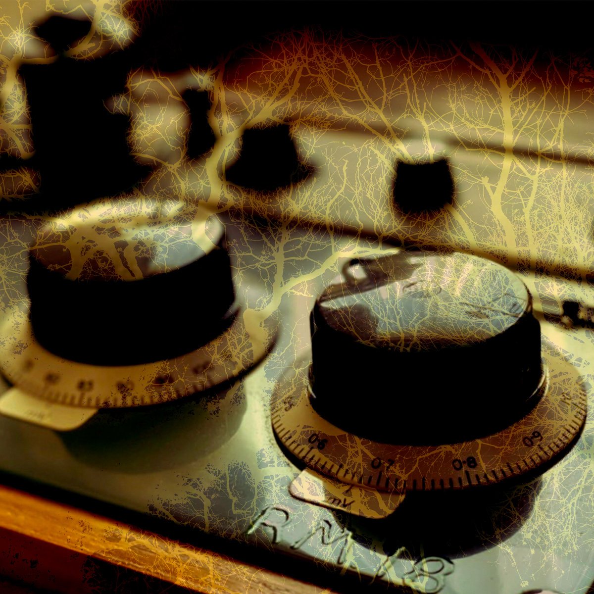 Analogue Studies at Dawn & Dimmity
